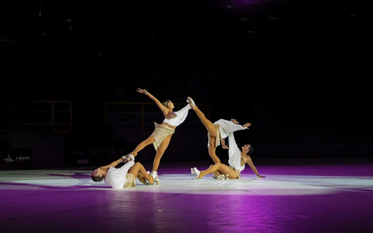 flamingo roller show