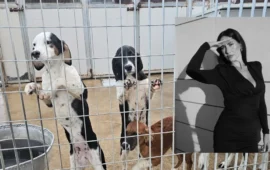 Vince il Grande Fratello e dona parte del montepremi al rifugio Lida di Olbia: il gesto di cuore di Jessica Morlacchi