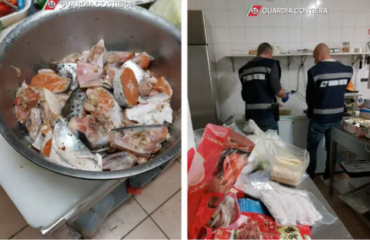 Il pesce sequestrato dalla Guardia Costiera