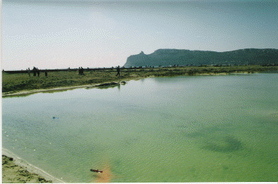 poetto ripascimento 2002