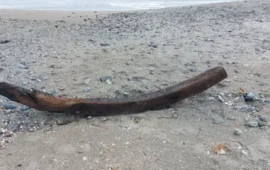 Poetto: la mareggiata porta in riva un vascello di fine Settecento