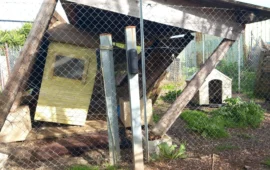 La tempesta “Harry bis” travolge il Rifugio Zampesarde: strutture distrutte e animali nel terrore