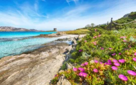 La Pelosa di Stintino conquista il mondo: è tra le dieci spiagge più belle secondo Tripadvisor