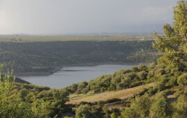 Altopiano di Abbasanta