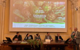 Samassi celebra il carciofo: quattro giorni tra gusto, tradizione e cultura nel Medio Campidano