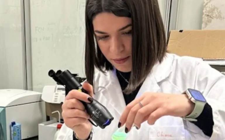 Eccellenze sarde nella ricerca: a una scienziata di Cagliari la prestigiosa borsa europea per un cerotto intelligente contro i tumori della pelle