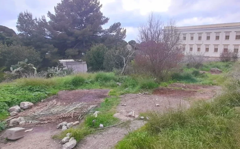 PH Alessandro Congia