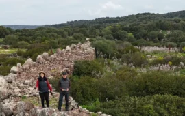 monte baranta olmedo