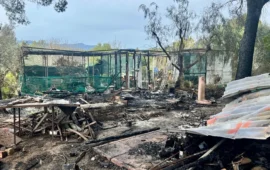 Incendio distrugge il “Rifugio di Campagna” a Quartucciu: tre gattine morte nel rogo. La raccolta fondi