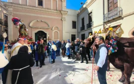 benedizione buoi sant'efisio