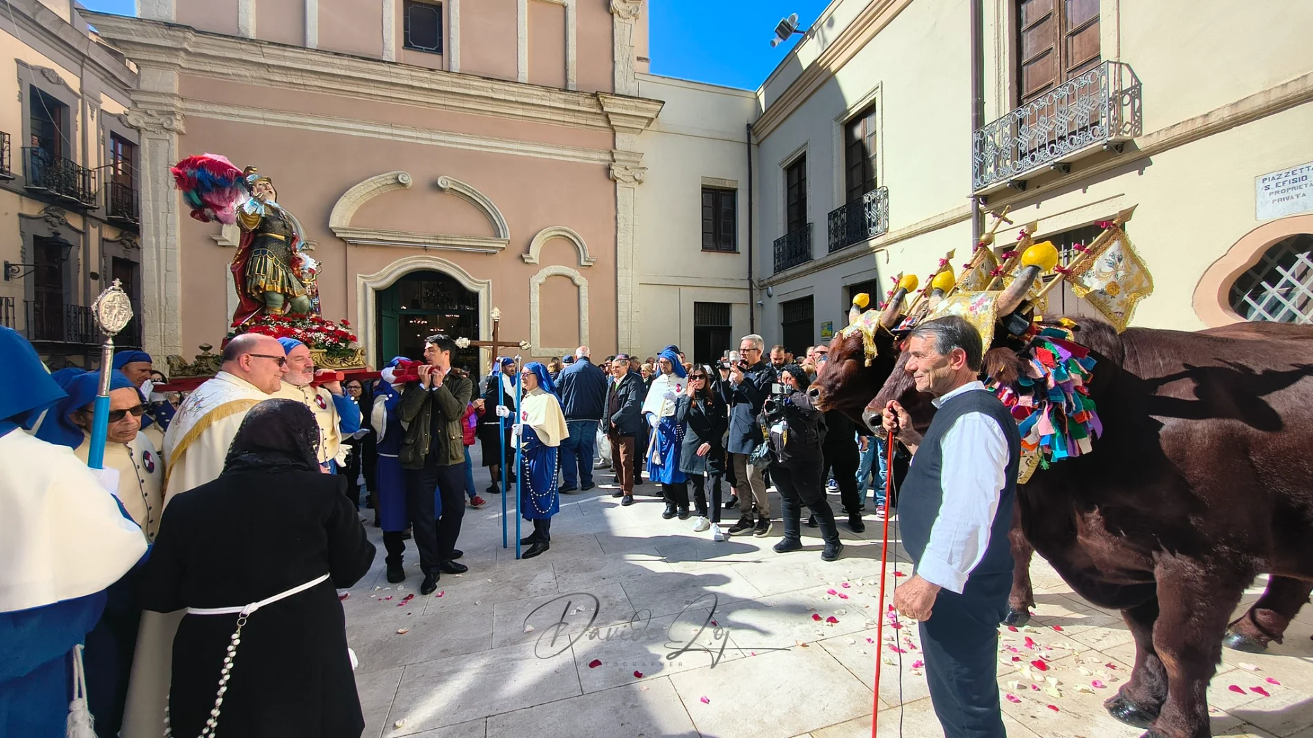 Sant’Efisio, il rito della benedizione di Pasquetta ai buoi del cocchio: inizia il conto alla rovescia per la 370ª edizione