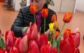 I tulipani della speranza colorano il Businco: la missione del “Giardino di Lu” all’oncologico