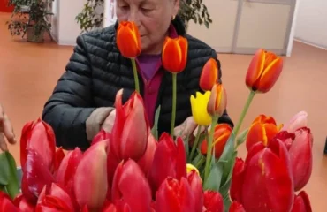 tulipani in ospedale