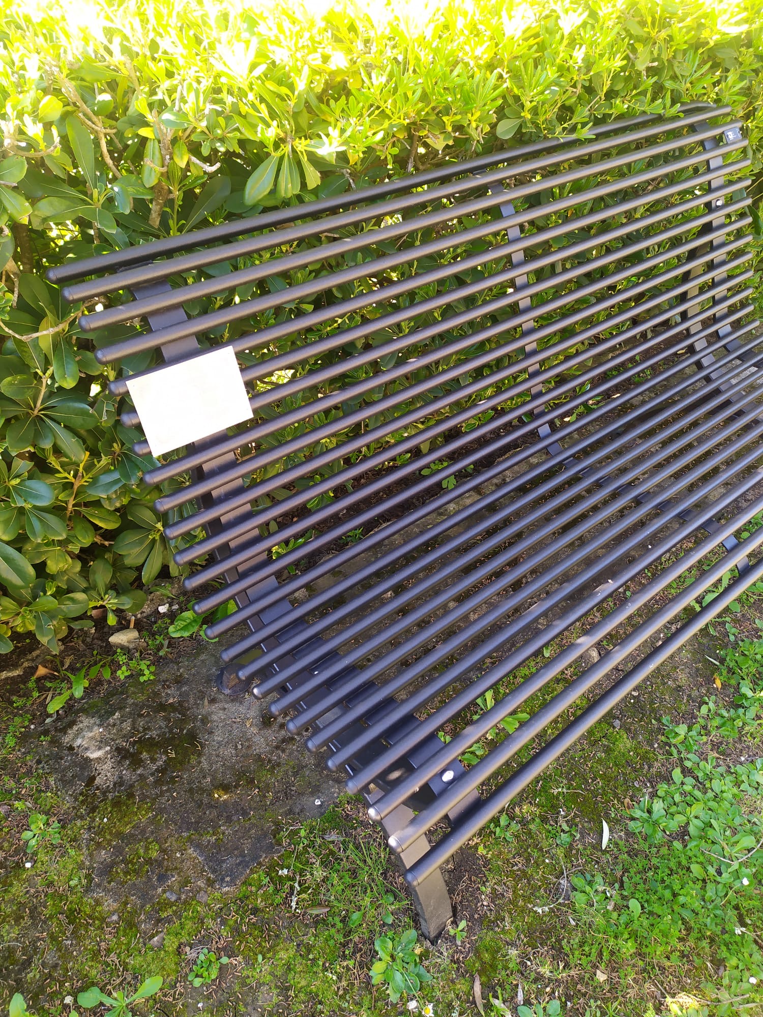 villanovaforru panchina