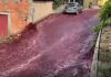 Fiume di vino rosso inonda le strade di un paesino in Portogallo