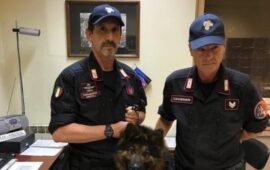 Firenze piange Battman, il cane antidroga dei Carabinieri