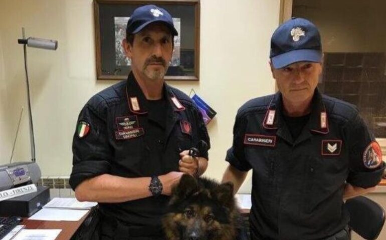 Firenze piange Battman, il cane antidroga dei Carabinieri
