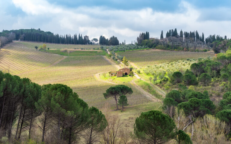 Lo sapevate? La Toscana è il luogo di nascita della lingua italiana