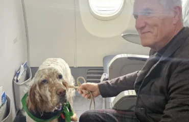 Addio stiva e trasportini: ora il cane viaggia “in poltrona”. Ieri il primo volo con Aeroitalia