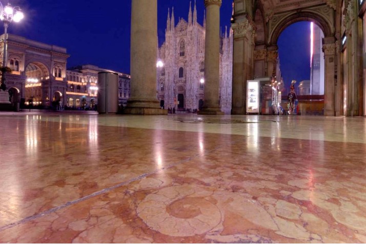 Lo sapevate? Nel pavimento della Galleria Vittorio Emanuele sono presenti dei fossili antichissimi