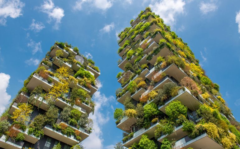 Lo sapevate? Sul Bosco Verticale sono presenti oltre duemila specie arboree