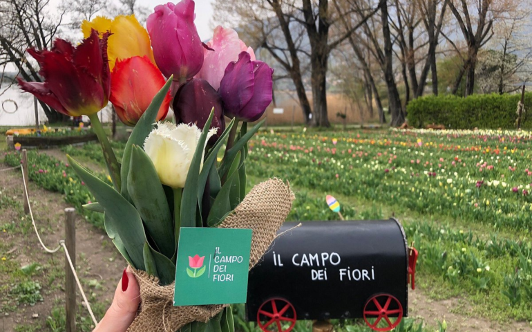 Il Tulipark Campo dei Fiori d Galbiate si prepara all’apertura estiva!