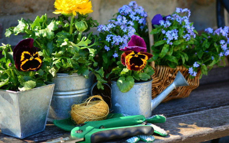 I vivai dove comprare i fiori in primavera, a Milano e appena fuori