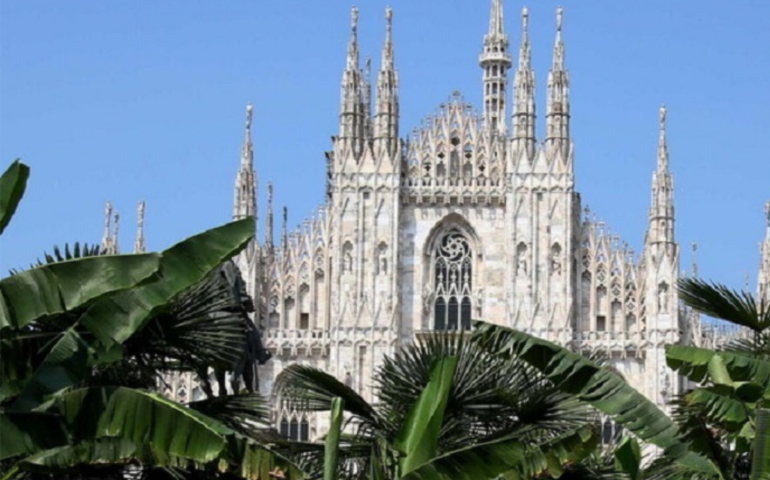 Ricordate il dibattito sulle palme in Duomo? Ora forse le toglieranno