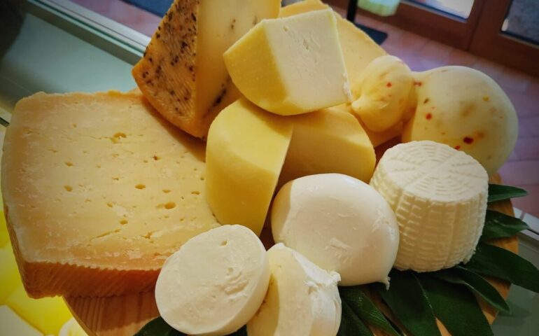Caseificio Traverso, tra antichi sapori e nuove sfide: un secolo di esperienza col latte più buono e sano che c’è