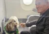 Addio stiva e trasportini: ora il cane viaggia “in poltrona”. Ieri il primo volo con Aeroitalia