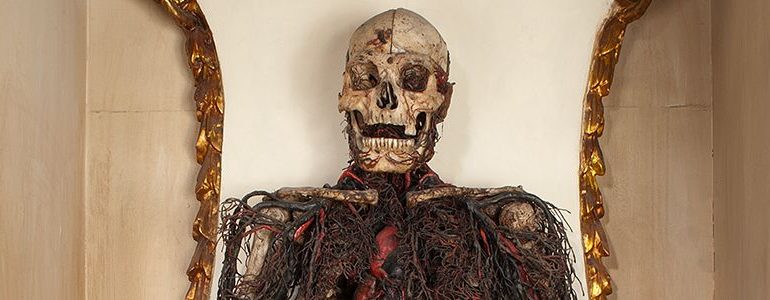 Lo sapevate? Una leggenda narra che le macchine anatomiche sarebbero due corpi umani reali