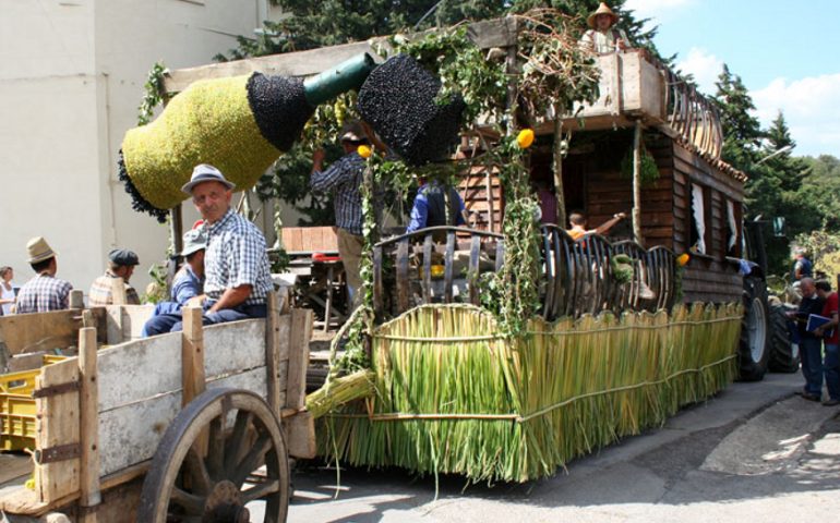 Festa dell’uva a Solopaca, tra carri allegorici e sculture ricoperte di grappoli odorosi