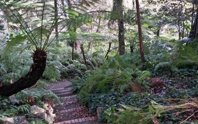 La Festa dell’Albero celebra la natura e le bellezze dell’Orto Botanico