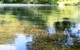 Conoscete Torre Orsaia? Un gioiello nascosto nella Campania interna: vi ci portiamo oggi!