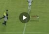 (VIDEO) Cane entra in campo, prende il pallone e viene rincorso da giocatori e security. Il video è esilarante