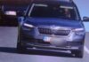 Cane al volante immortalato dall’autovelox: superava i limiti di velocità, multa al padrone