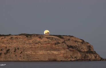 luna del cervo sinis