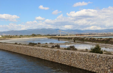 Il parco di Molentargius