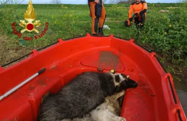 PH Vigili del Fuoco, maltempo Sardegna