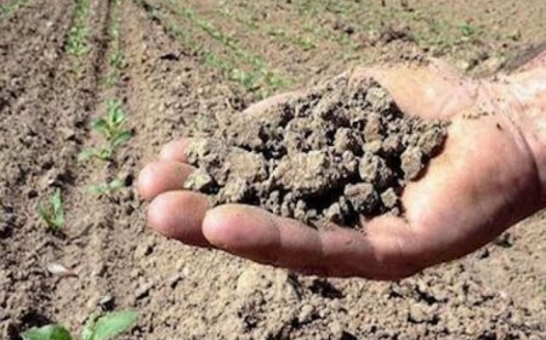 Su comunu de Tortolì pedit s’istadu de calamidade naturale pro s’isciutura