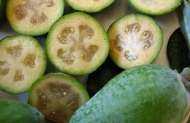 Feijoa salute e benessere