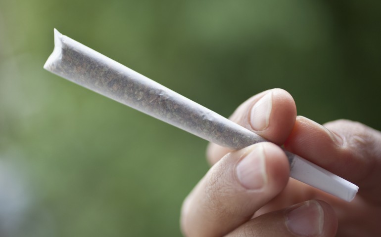 marijuana immagine simbolo