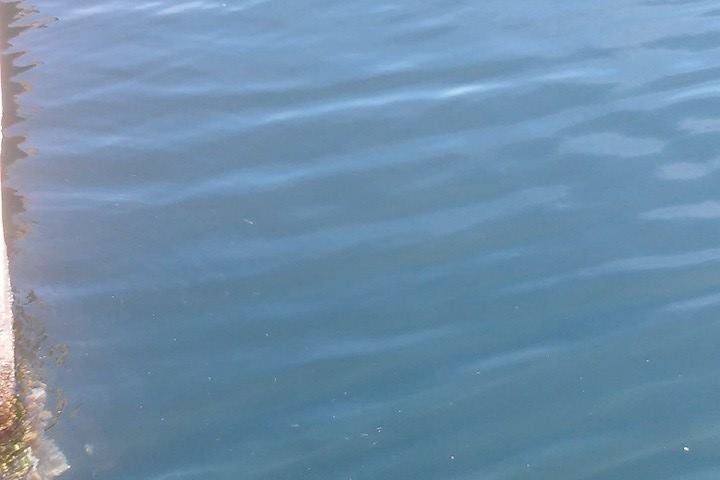 Ancora miasmi e fuoriuscite di liquami nella banchina di riva del molo di Arbatax.