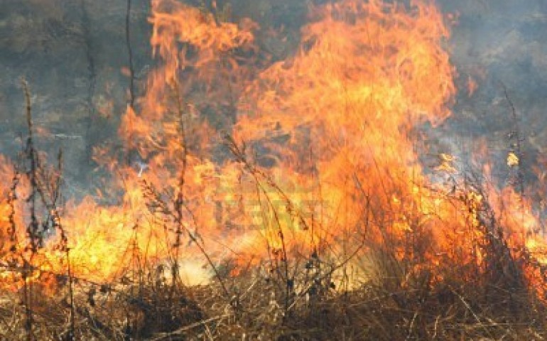 Incendio in corso tra Bari Sardo e Loceri: si lavora per domare le fiamme
