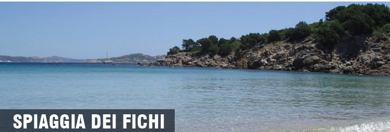 Spiaggia dei Fichi