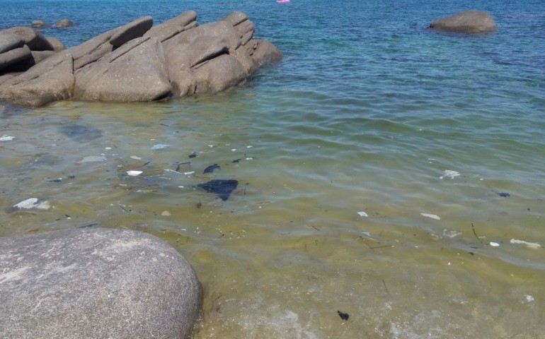 Foxilioni, la spiaggia-gioiello tra rifiuti e odori nauseabondi