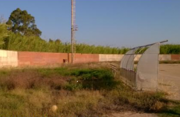 campo sportivo zinnias