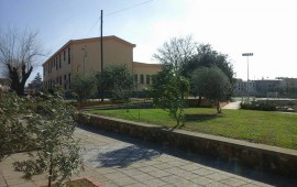 scuola girasole