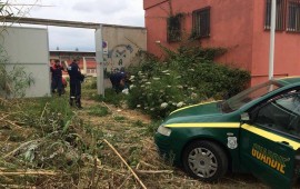 Rifiuti nel campo di Zinnias