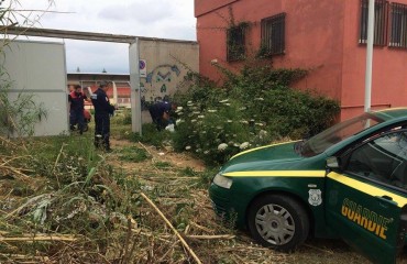 Rifiuti nel campo di Zinnias